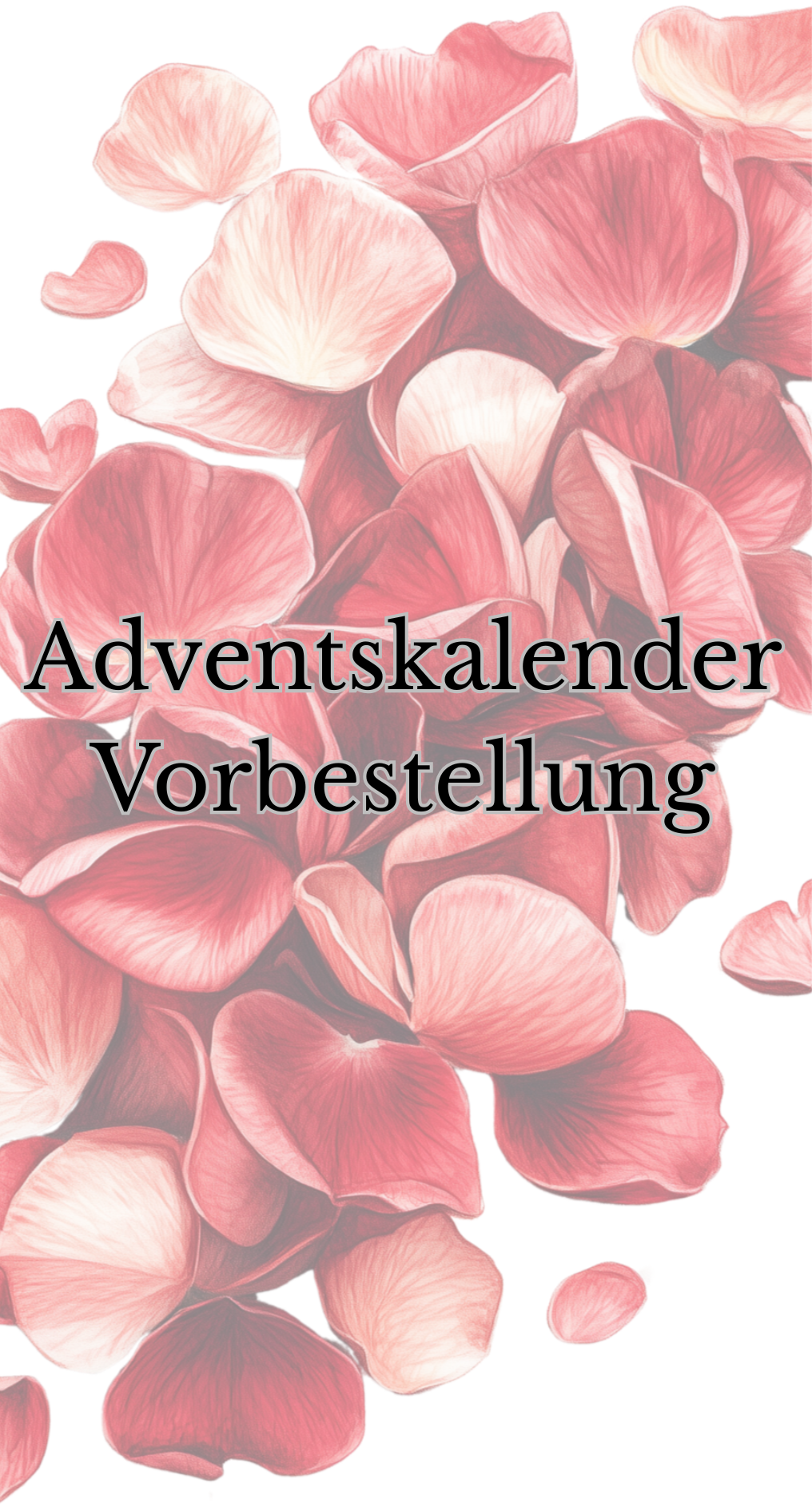 Adventskalender Vorbestellung